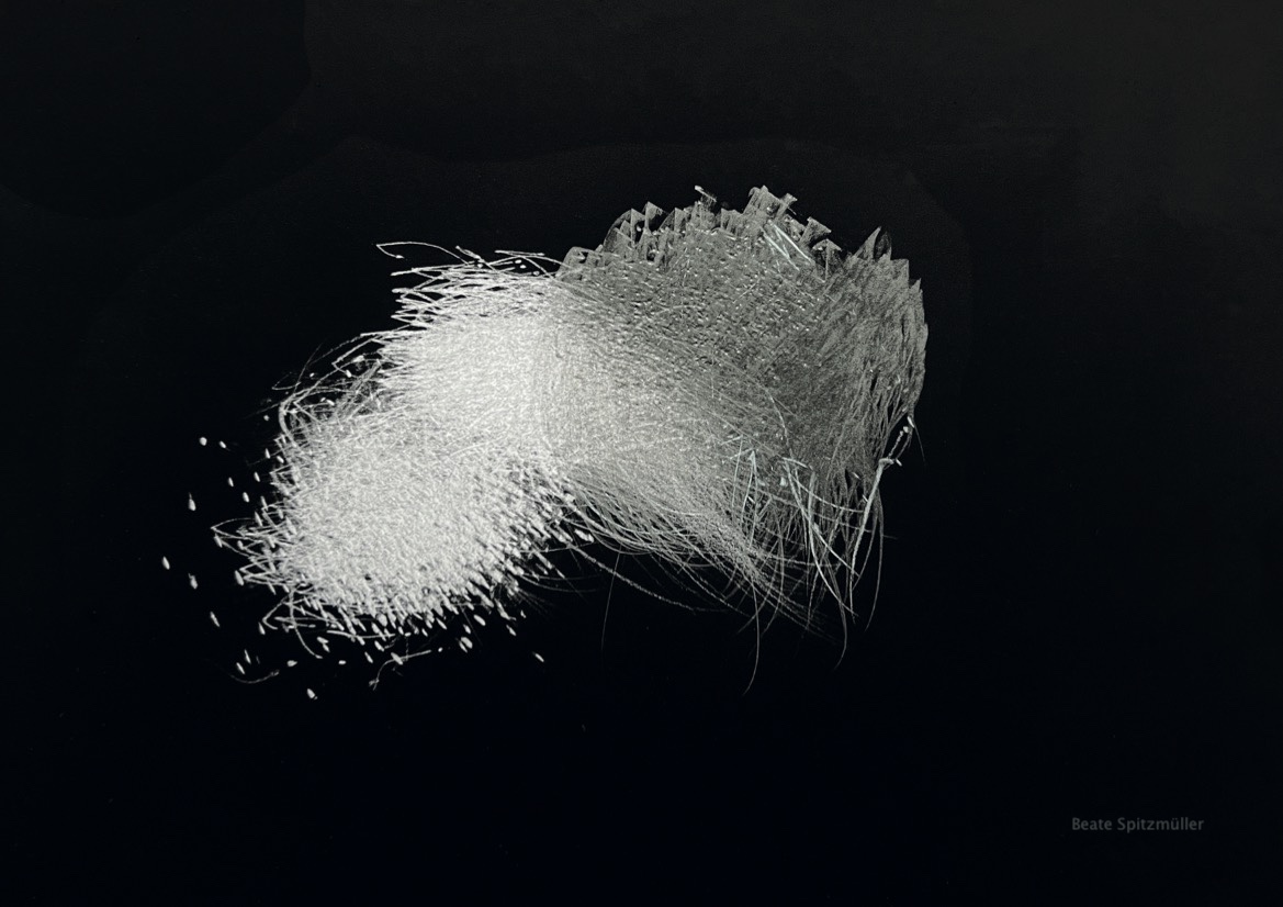 Spitzmueller Black with Line in Motion No48 2025 24x31cm