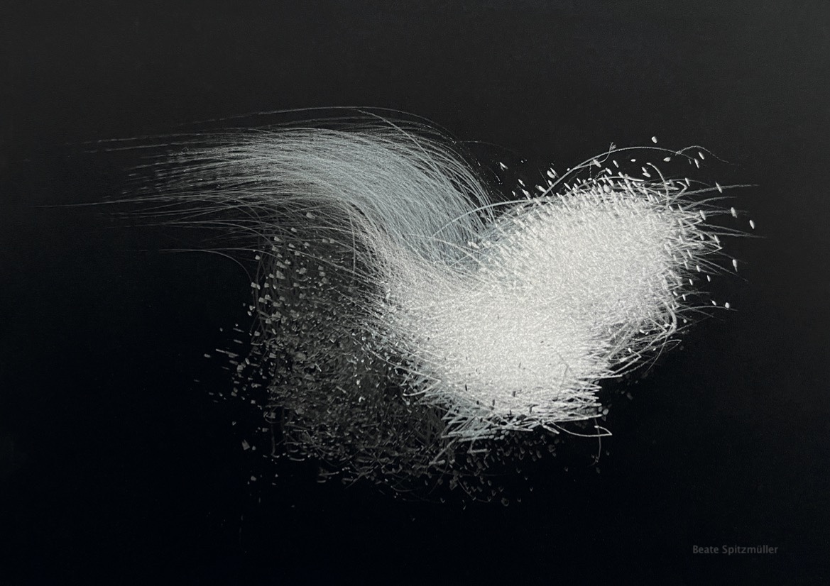 Beate Spitzmüller, aus der Serie: Black with Line in Motion, 2025 Spitzmueller Black with Line in Motion No60 2025 24x31cm