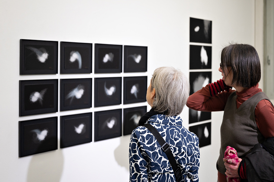 mueller Ausstellung Irre Lichter Foto Piotr Bialoglowicz