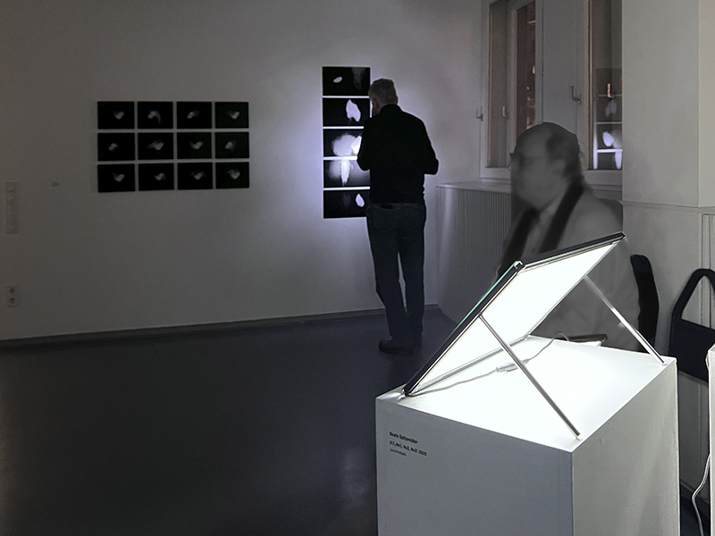 mueller Ausstellung Irre Lichter Talk2